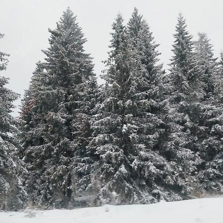 Apartmani Sorak Kopaonik, Studio Apartman A10 Екстер'єр фото